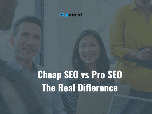 Cheap SEO vs Professional SEO in Ireland - DigiWizard guide comparing budget and professional SEO services