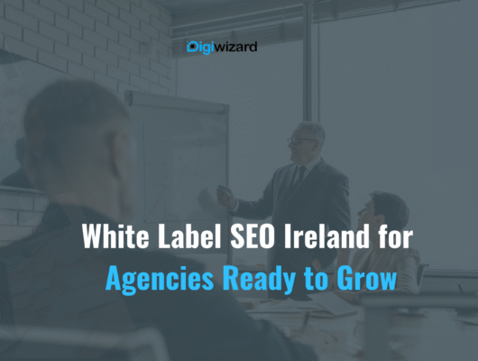 White label SEO Ireland services for digital agencies and consultants